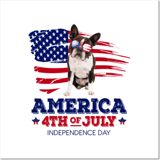 Boston Terrier Flag USA - America 4th Of July Independence Day Posters and Art